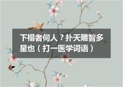 下榻者何人？扑天雕智多星也（打一医学词语）