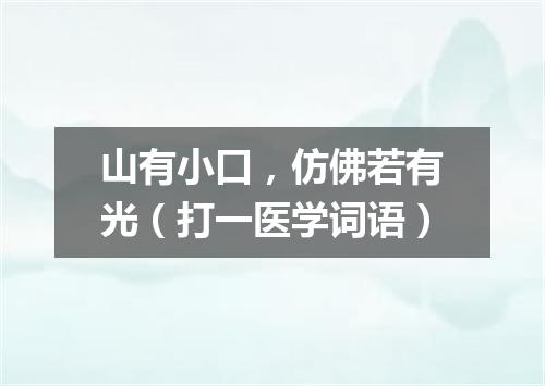 山有小口，仿佛若有光（打一医学词语）