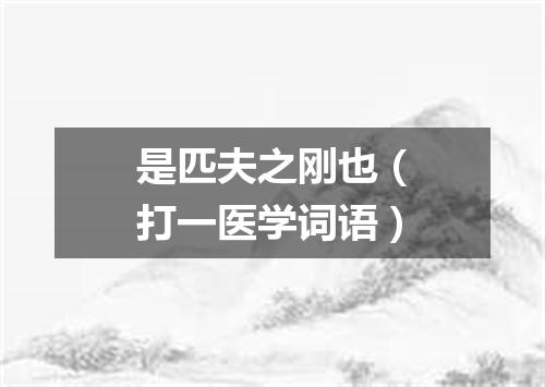 是匹夫之刚也（打一医学词语）