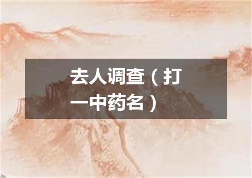去人调查（打一中药名）