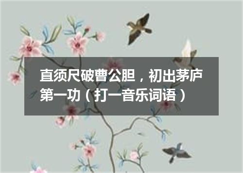 直须尺破曹公胆，初出茅庐第一功（打一音乐词语）