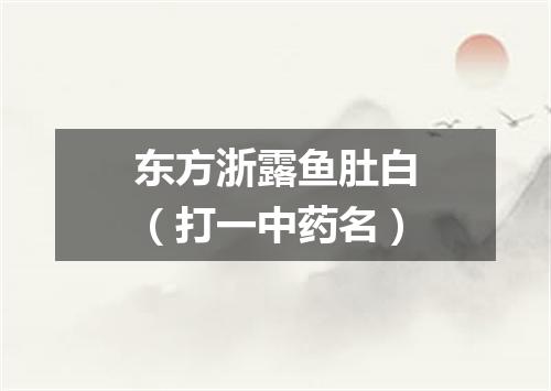 东方浙露鱼肚白（打一中药名）