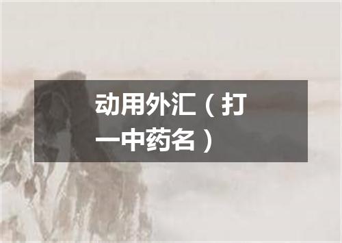动用外汇（打一中药名）