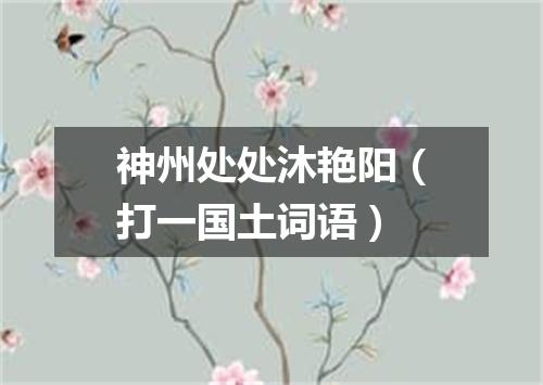 神州处处沐艳阳（打一国土词语）