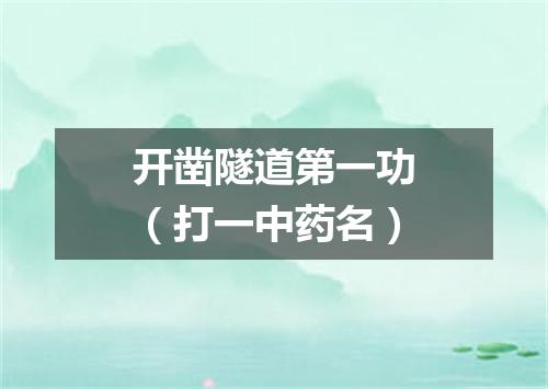 开凿隧道第一功（打一中药名）