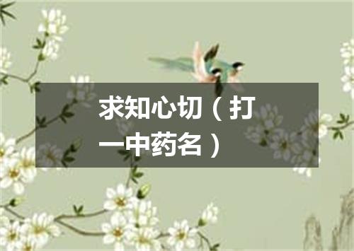 求知心切（打一中药名）