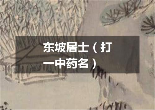 东坡居士（打一中药名）