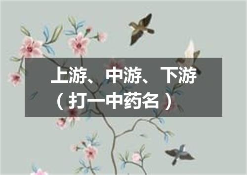 上游、中游、下游（打一中药名）