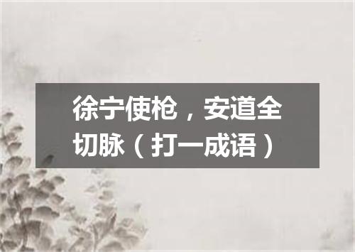 徐宁使枪，安道全切脉（打一成语）