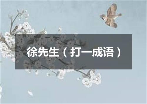 徐先生（打一成语）