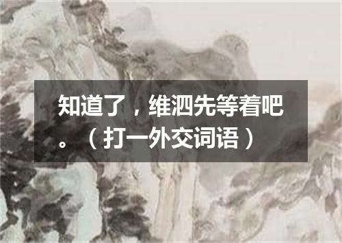 知道了，维泗先等着吧。（打一外交词语）