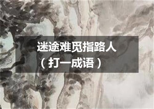 迷途难觅指路人（打一成语）