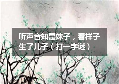 听声音知是妹子，看样子生了儿子（打一字谜）