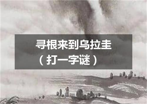 寻根来到乌拉圭（打一字谜）