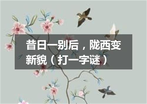 昔日一别后，陇西变新貌（打一字谜）
