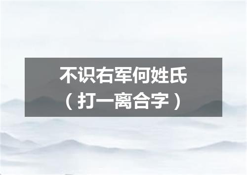 不识右军何姓氏（打一离合字）