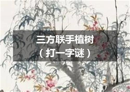三方联手植树（打一字谜）