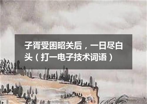 子胥受困昭关后，一日尽白头（打一电子技术词语）