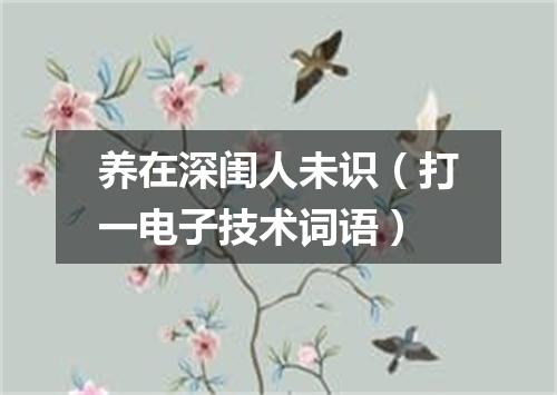 养在深闺人未识（打一电子技术词语）