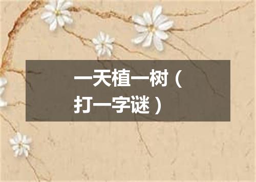 一天植一树（打一字谜）