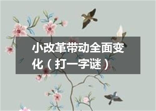 小改革带动全面变化（打一字谜）