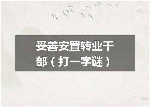 妥善安置转业干部（打一字谜）