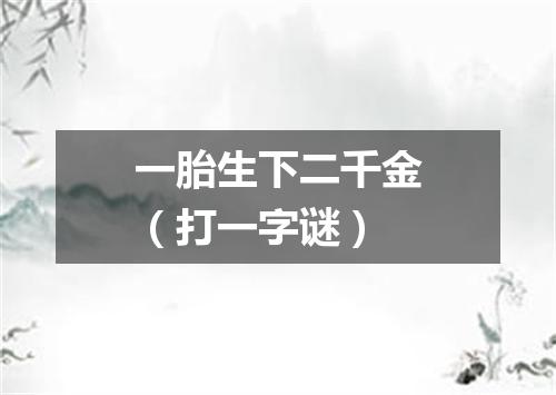 一胎生下二千金（打一字谜）