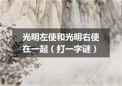光明左使和光明右使在一起（打一字谜）