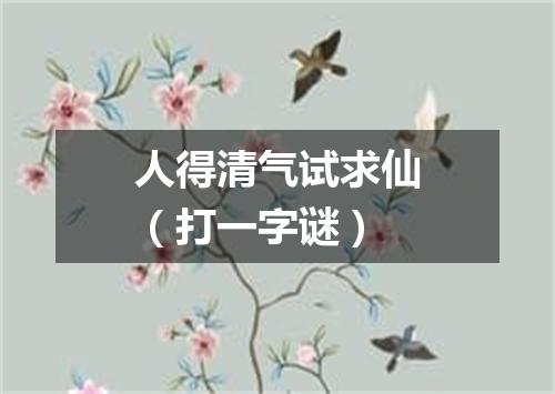 人得清气试求仙（打一字谜）