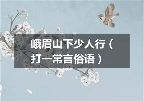 峨眉山下少人行（打一常言俗语）