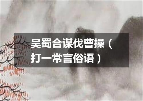 吴蜀合谋伐曹操（打一常言俗语）