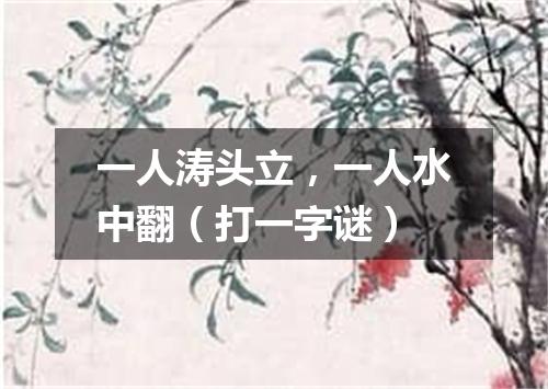 一人涛头立，一人水中翻（打一字谜）