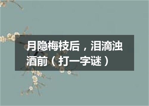 月隐梅枝后，泪滴浊酒前（打一字谜）