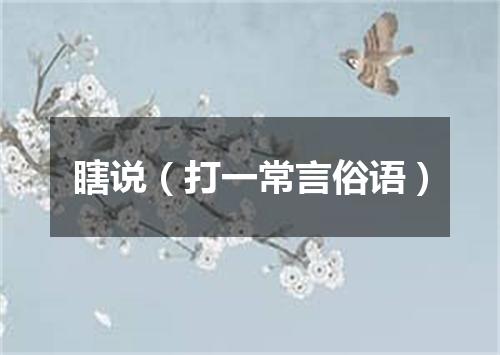 瞎说（打一常言俗语）