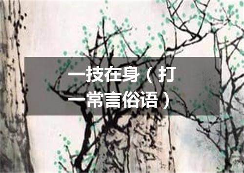 一技在身（打一常言俗语）