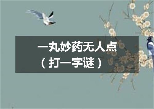 一丸妙药无人点（打一字谜）