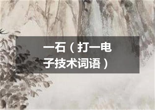 一石（打一电子技术词语）