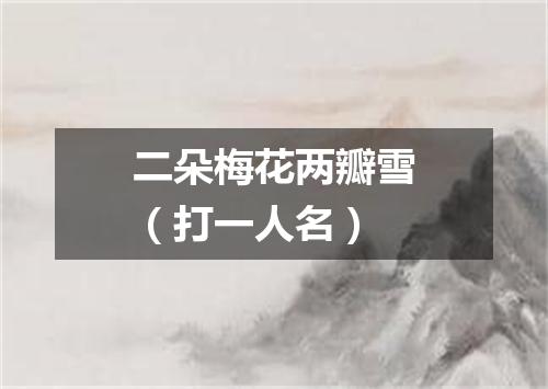 二朵梅花两瓣雪（打一人名）