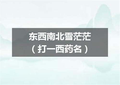 东西南北雪茫茫（打一西药名）