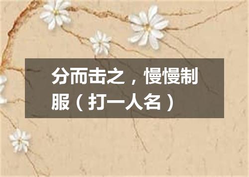 分而击之，慢慢制服（打一人名）