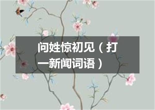 问姓惊初见（打一新闻词语）