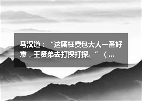马汉道：“这厮枉费包大人一番好意，王贤弟去打探打探。”（打一诗词句）
