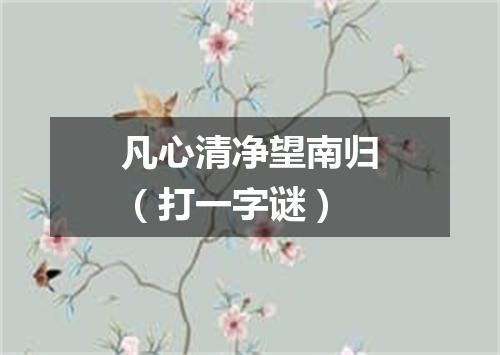 凡心清净望南归（打一字谜）