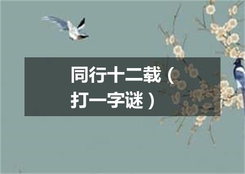 同行十二载（打一字谜）