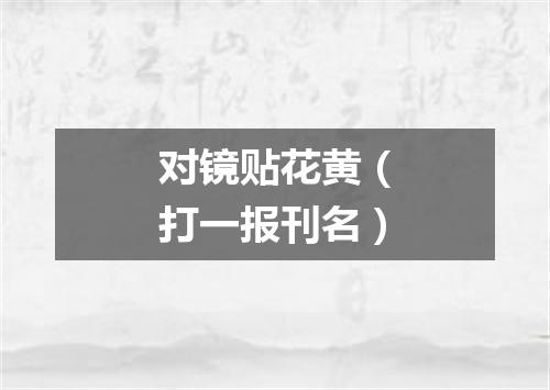 对镜贴花黄（打一报刊名）