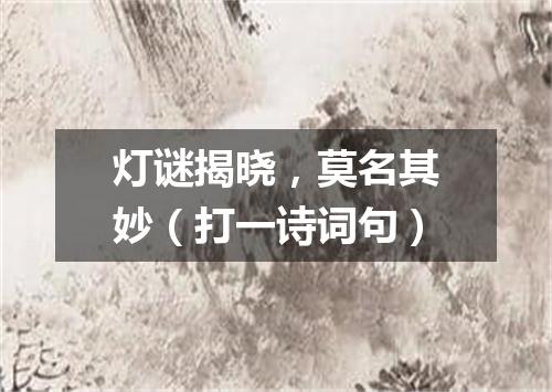 灯谜揭晓，莫名其妙（打一诗词句）