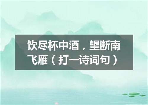 饮尽杯中酒，望断南飞雁（打一诗词句）