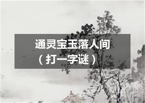 通灵宝玉落人间（打一字谜）