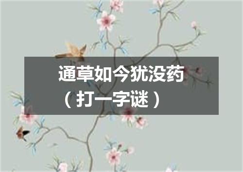 通草如今犹没药（打一字谜）