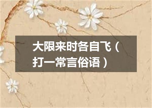 大限来时各自飞（打一常言俗语）